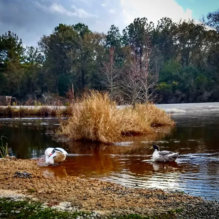 Cain's Creekside RV Park Picture 7