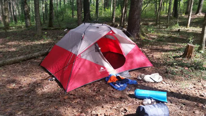 Backcountry Campsite #17 Picture 4