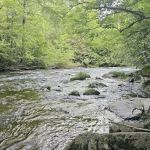 Backcountry Campsite #17
