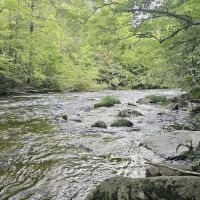 Backcountry Campsite #17 ico