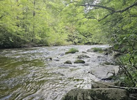 Backcountry Campsite #17