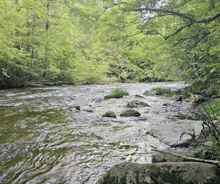 Backcountry Campsite #17