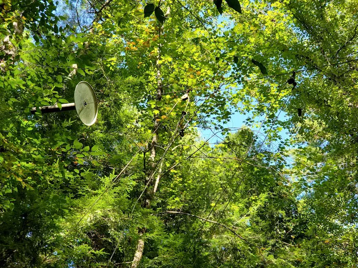 Backcountry Campsite #17 Picture 10