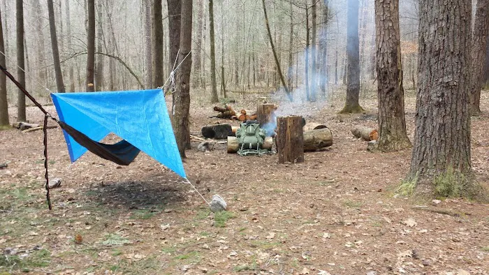 Backcountry Campsite 01 Picture 1