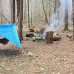 Backcountry Campsite 01