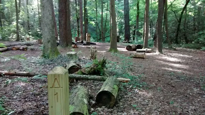 Backcountry Campsite 01 Picture 6