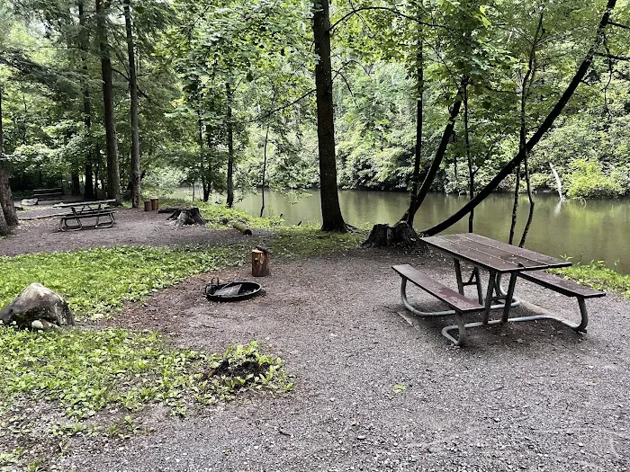 Abrams Creek Campground Picture 3