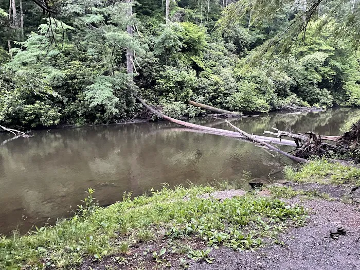 Abrams Creek Campground Picture 2
