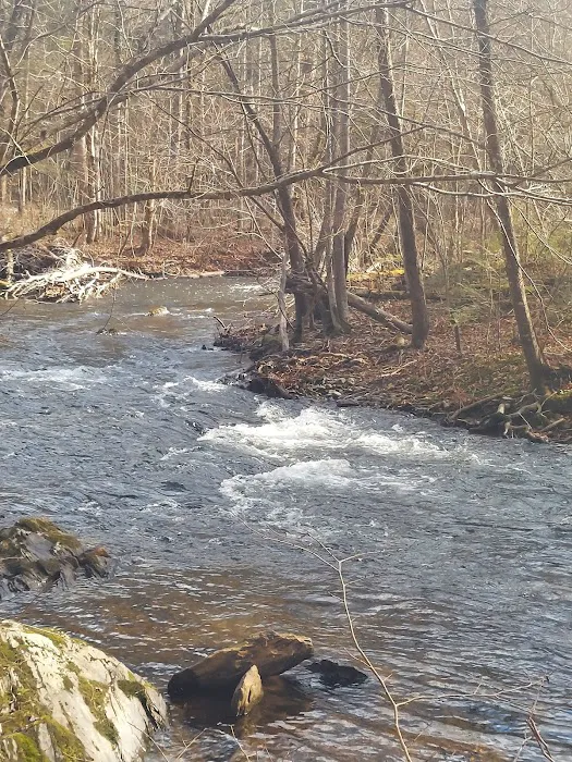 Abrams Creek Campground Picture 6
