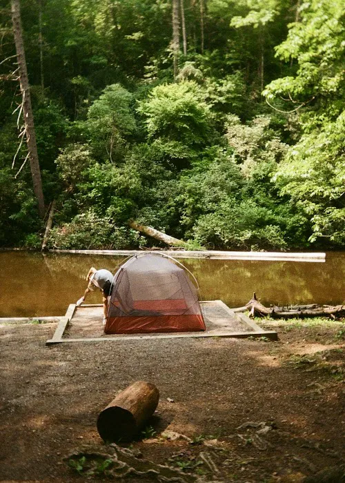 Abrams Creek Campground Picture 7
