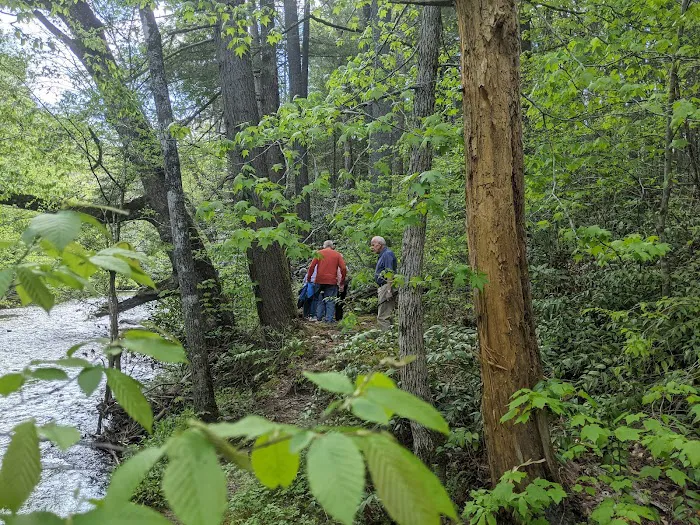 Abrams Creek Campground Picture 8