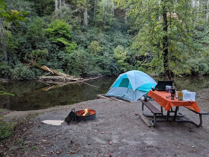 Abrams Creek Campground Picture 9