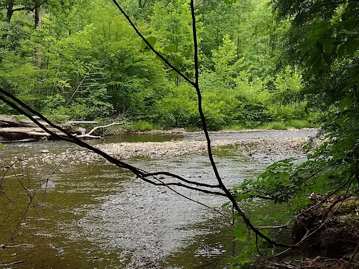 Abrams Creek Campground Picture 10