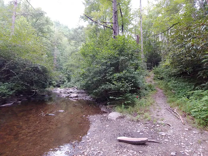 Backcountry Camp 15 Picture 1
