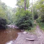 Backcountry Camp 15