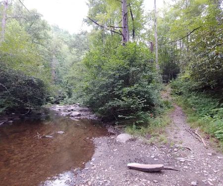 Backcountry Camp 15