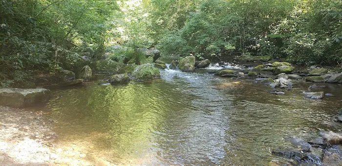 Backcountry Camp 15 Picture 6