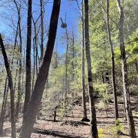 Backcountry Campsite #14 ico