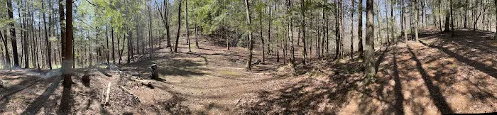 Backcountry Campsite #14 Picture 4