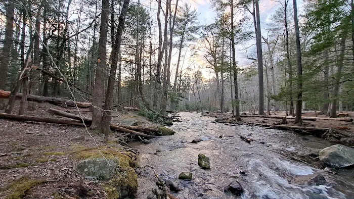 Cades Cove Campground Picture 4