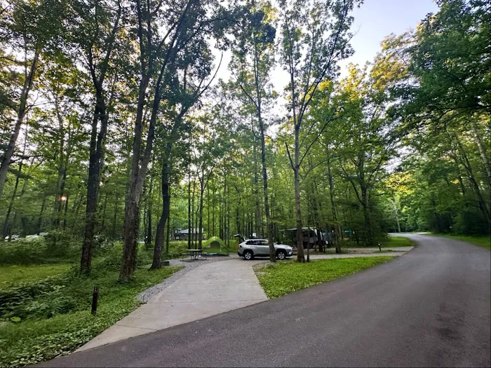 Cades Cove Campground Picture 7
