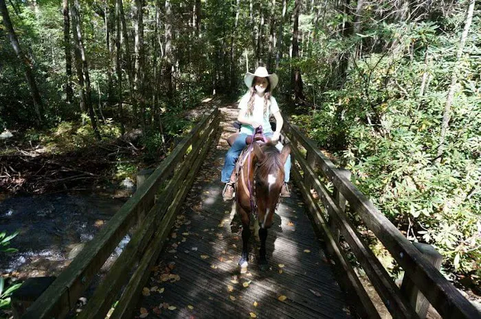 Anthony Creek Horse Camp Picture 5