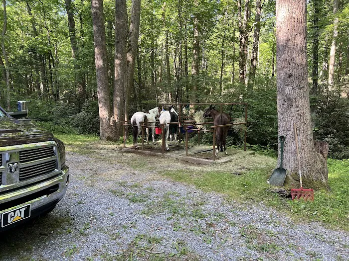 Anthony Creek Horse Camp Picture 3