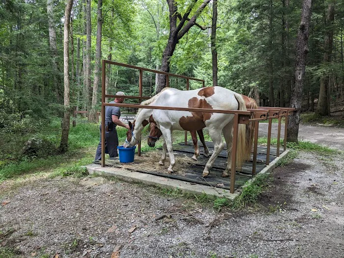 Anthony Creek Horse Camp Picture 4