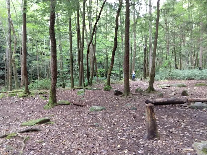Backcountry Camp 18 Picture 4