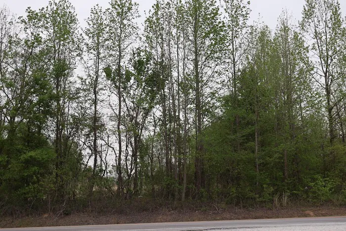 Country View RV Park Picture 6