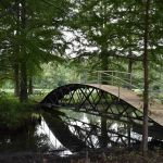 Serendipity Brownsville's Venue, Resort, and RV Park