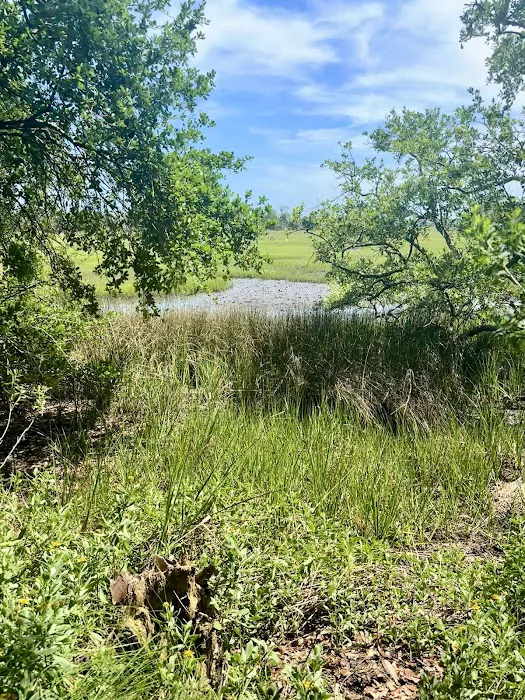 Live Oak Campground Picture 4