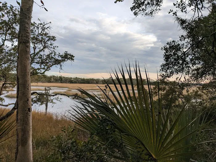 Live Oak Campground Picture 6