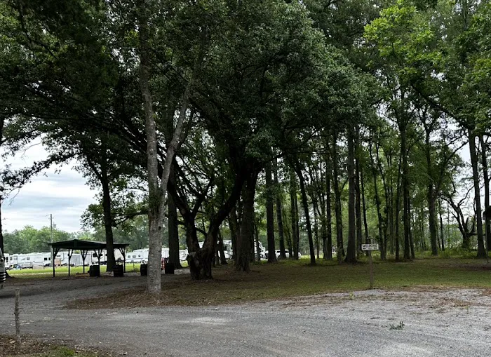 Tiny Town RV Campground Picture 6