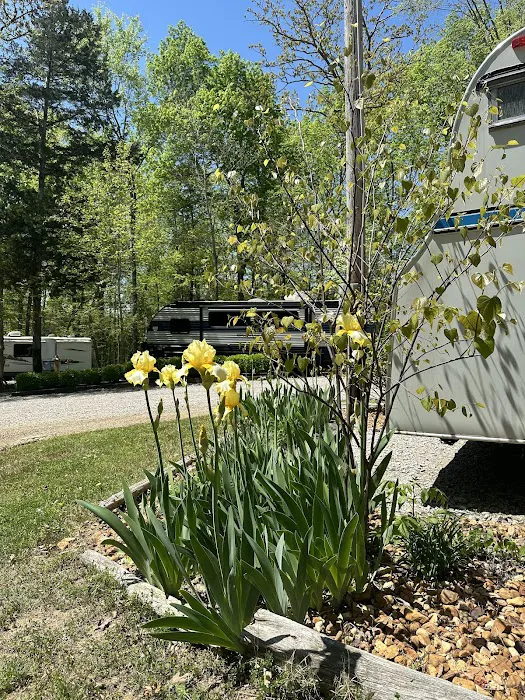 Lake Cumberland Camping Picture 5