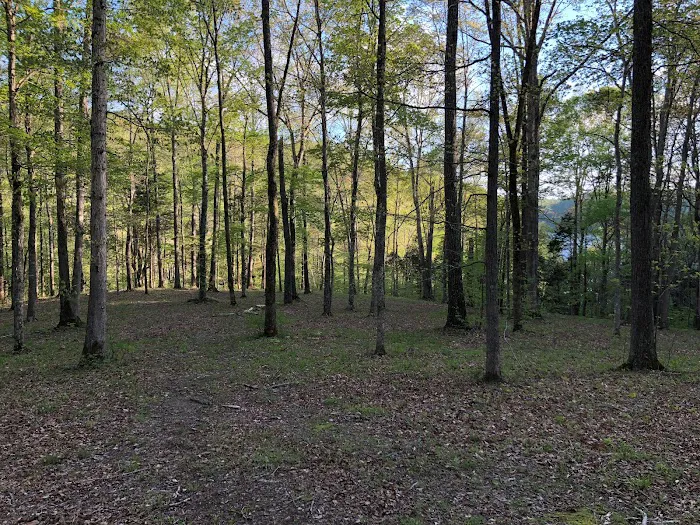 Hidden Ridge RV Camping Picture 4