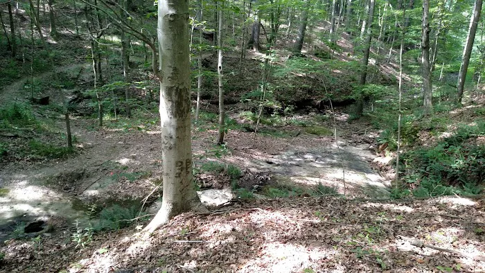 Camp Krietenstein Picture 8
