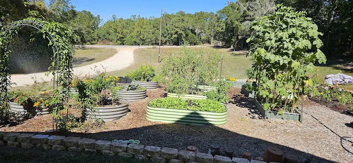 Kelly Creek RV Park Picture 3