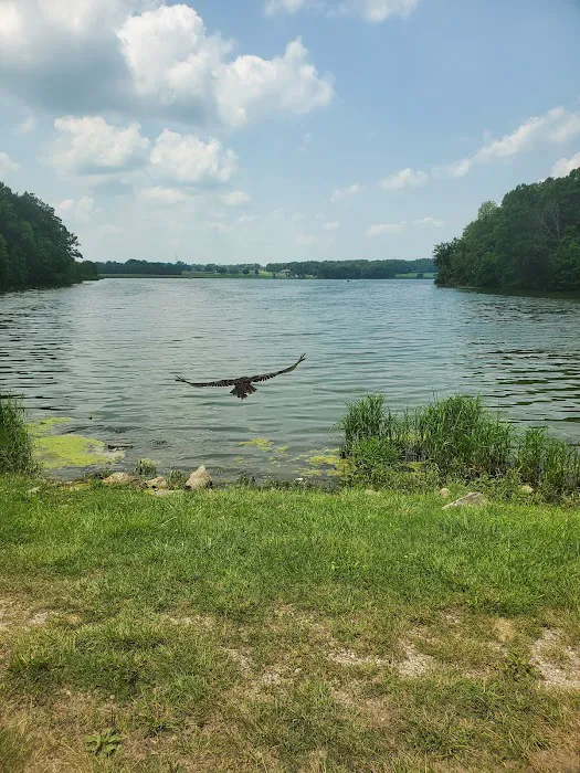 Lake Waveland Picture 1