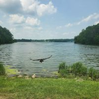 Lake Waveland ico
