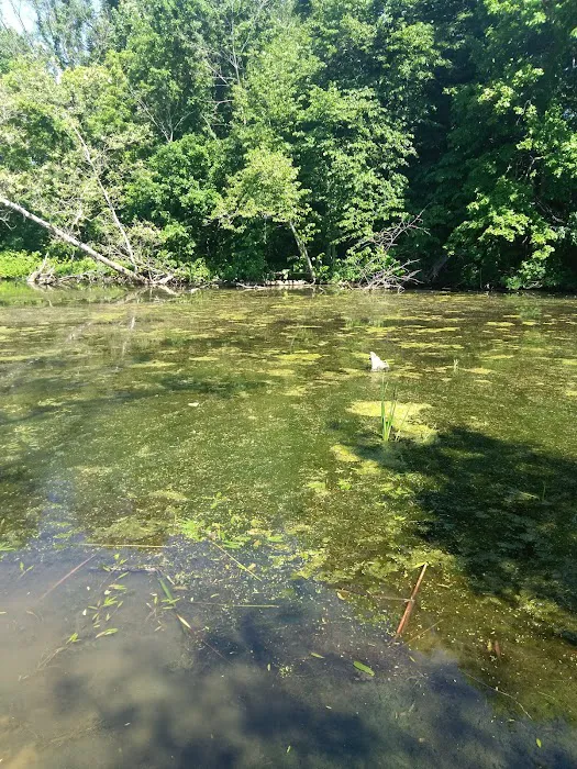Lake Waveland Picture 6