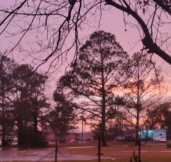 Green Village Mobile Home Park Picture 1