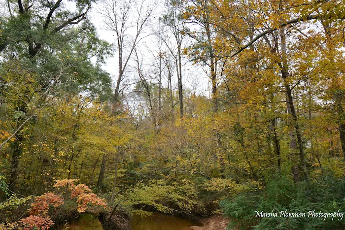 Big Creek RV Picture 3