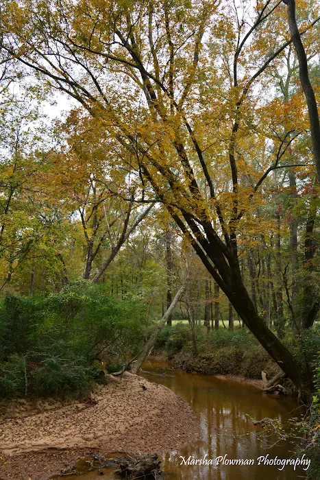 Big Creek RV Picture 2