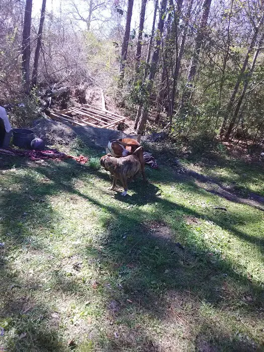 Glennville Trailer Park Picture 3