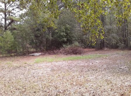 Glennville Trailer Park