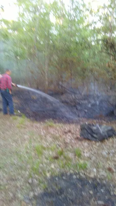 Glennville Trailer Park Picture 7