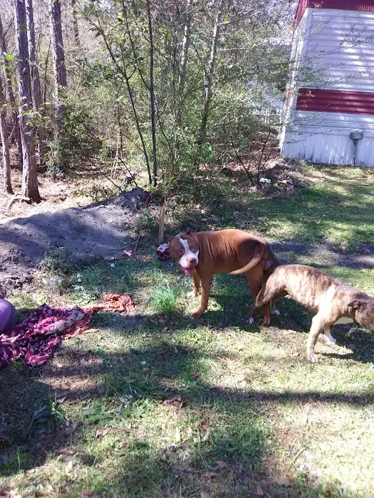 Glennville Trailer Park Picture 9