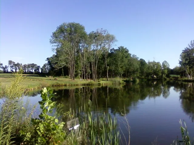 Peaceful Waters Campground Picture 7