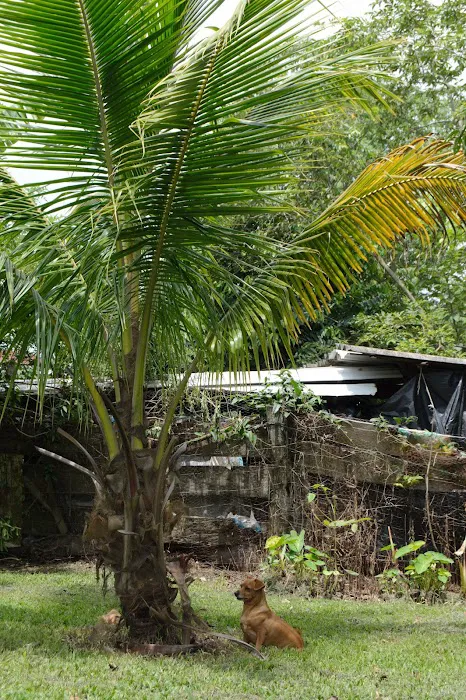 Weslo Estates Picture 2